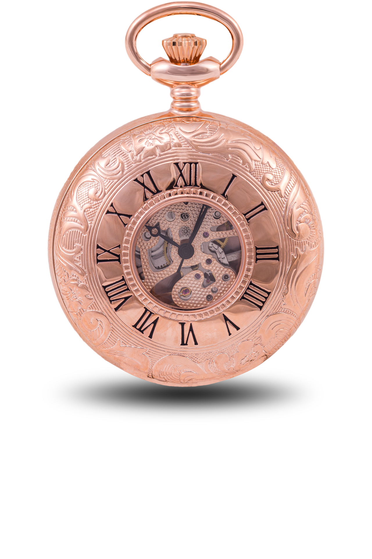 Gold online hunter watch